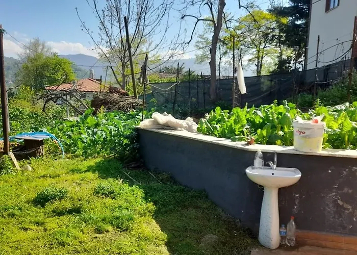 펜션 Grand1 Guests House