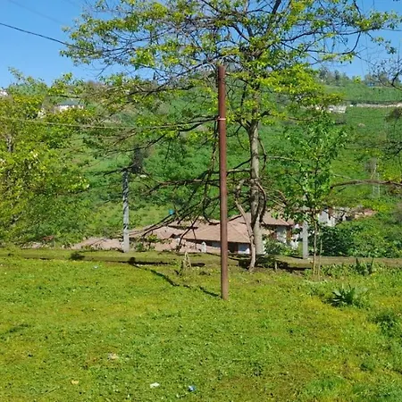 Grand1 Guests House * Trabzon