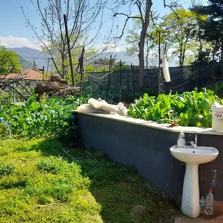 Tatil Evi Grand1 Guests House