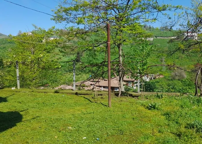 Grand1 Guests House * Trabzon